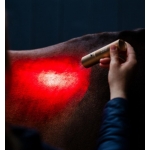 Horseware LED Red Light Therapy Wand Horseware LED Red Light Therapy Wand